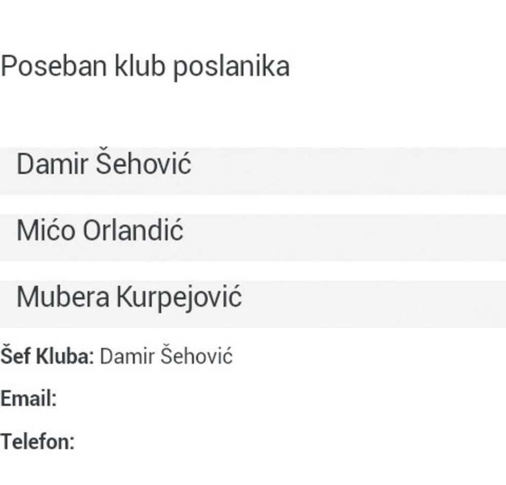 Poslanički klub, Socijaldemokrate