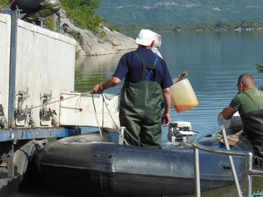 Slano jezero poribljavanje