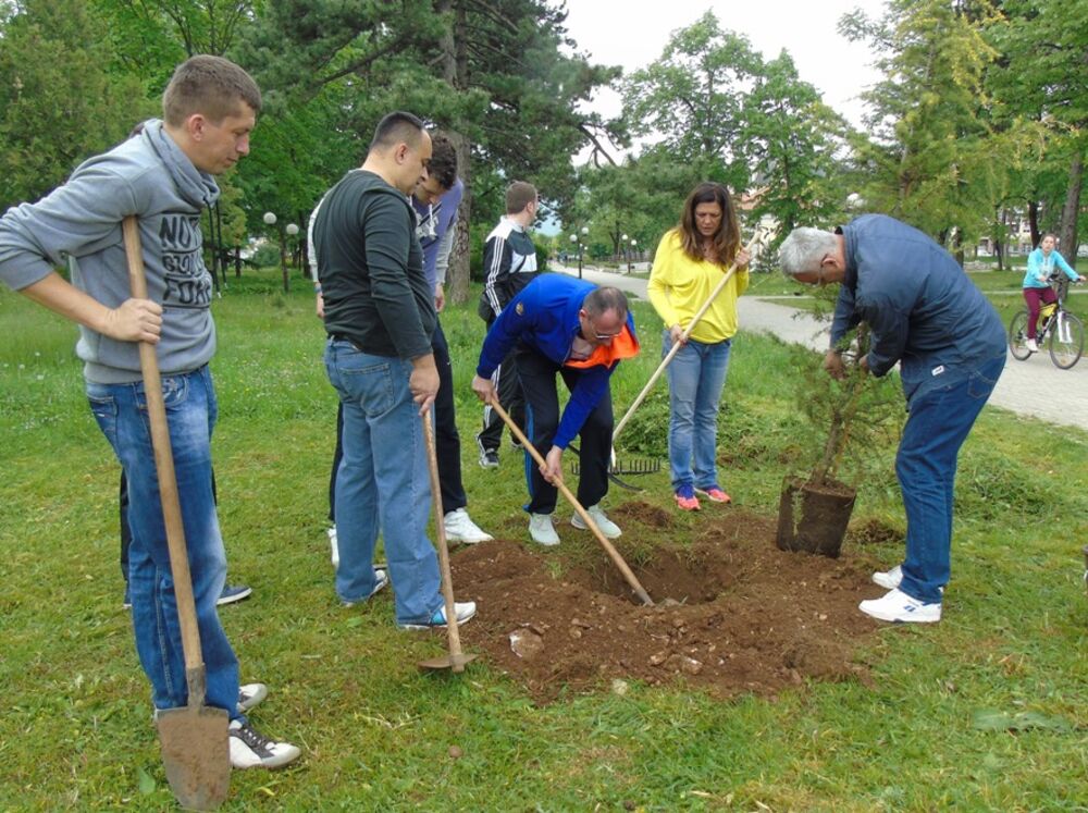 gradski park Nikšić