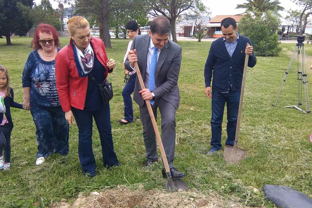 Petar Ivanović, Sanja Vlahović, sadnja malsina, Foto: Radomir Petrić