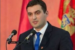 Rebronja: Izborni proces u Tivtu u skladu sa parlamentarnim...
