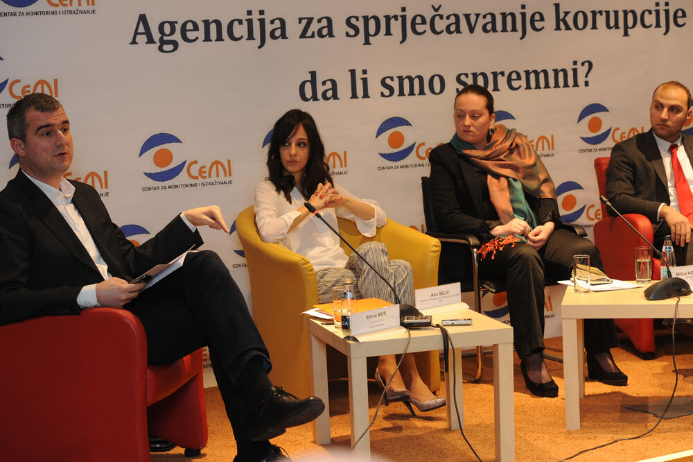 panel, Cemi, MANS, Foto: Savo Prelević