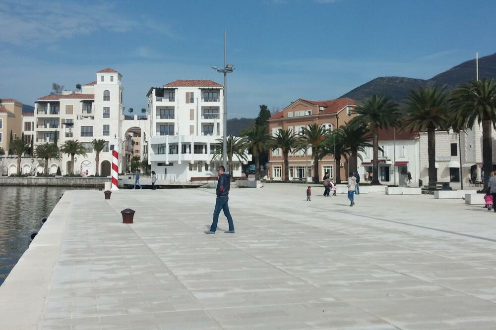 Tivat, Pine, Foto: Siniša Luković