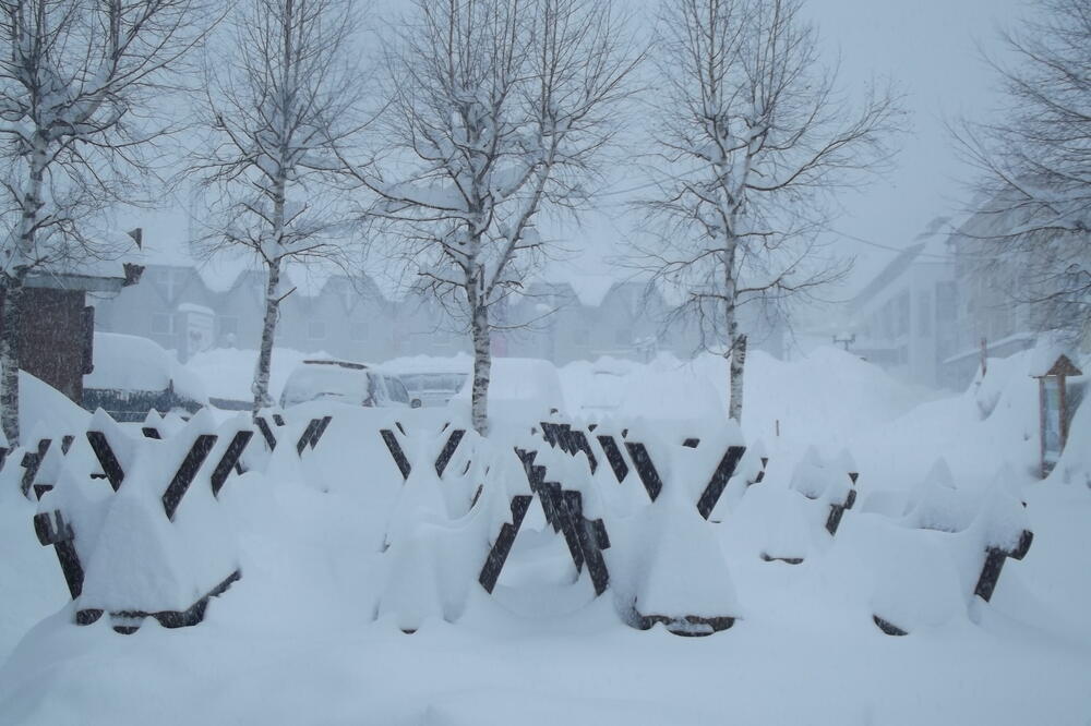 snijeg, Žabljak, Foto: Obrad Pješivac