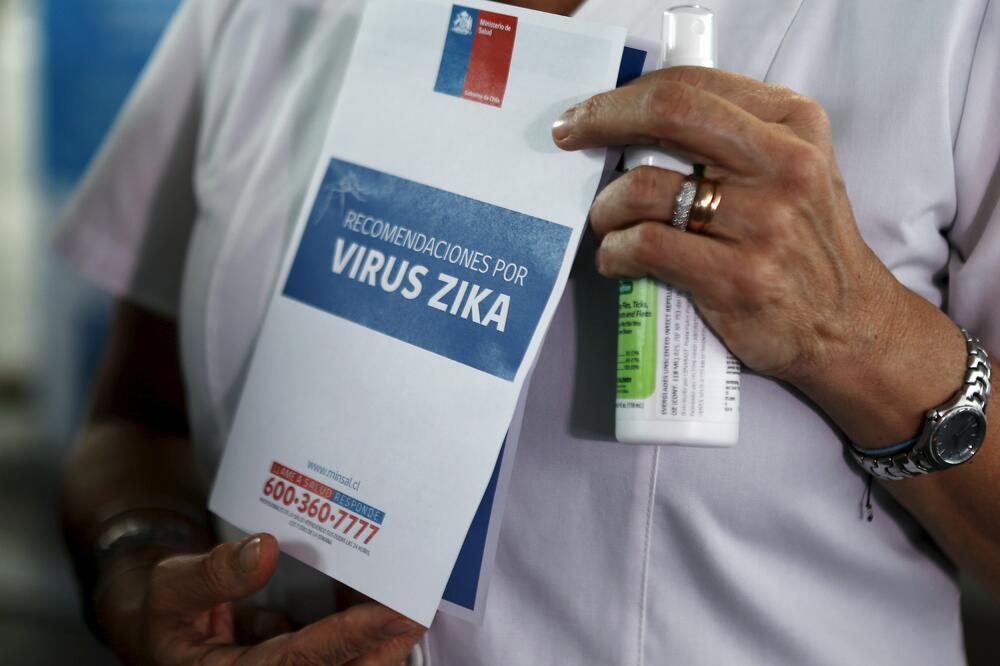 virus Zika, Foto: Reuters