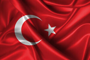 Turska uvela vize Sirijcima koji stižu avionom ili brodom