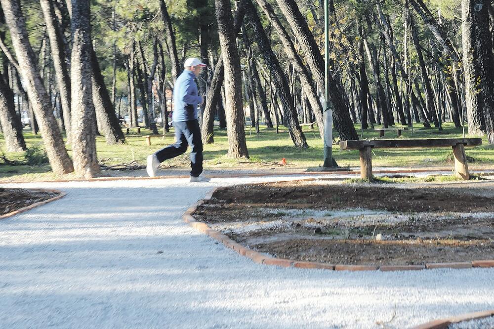 Tološka šuma, Foto: Luka Zeković