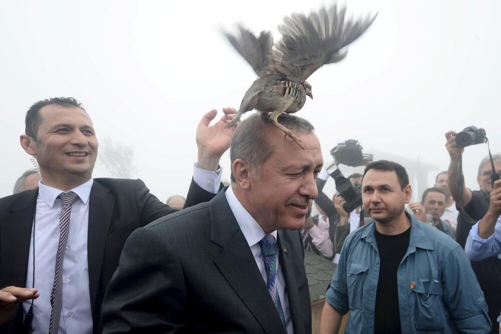 Redžep Tajip Erdogan, Foto: Reuters