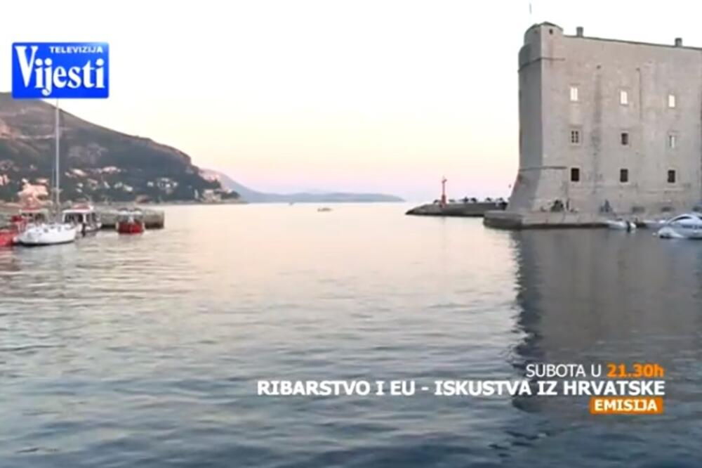 Ribarstvo i EU, Foto: Screenshot (YouTube)