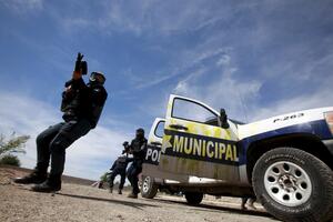 Meksiko: U pucnjavama na borbi pjetlova i utakmici 16 mrtvih