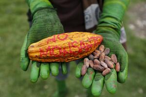Članice EU neće moći same da donose odluku o GMO