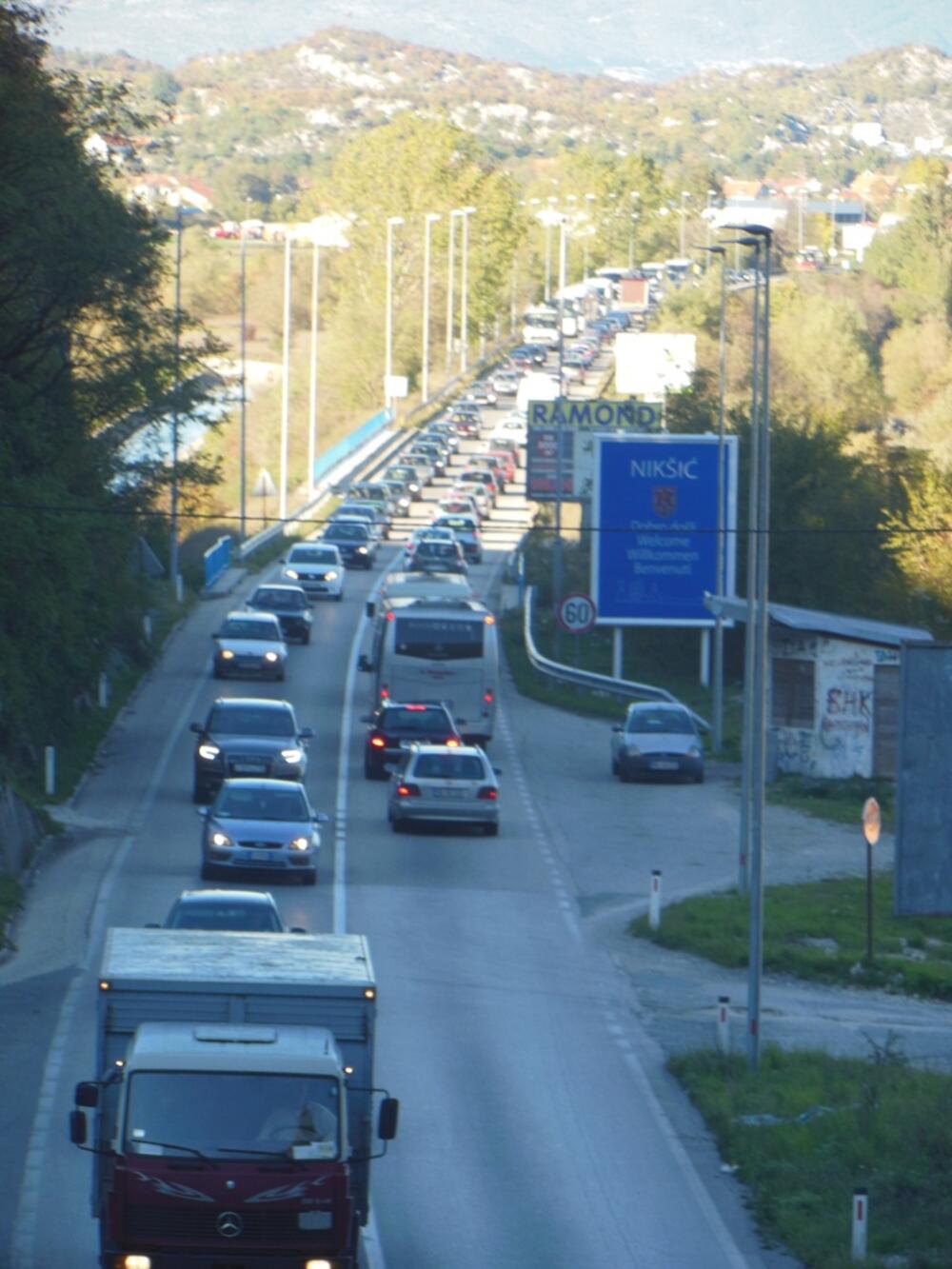 Nikšić DF protest