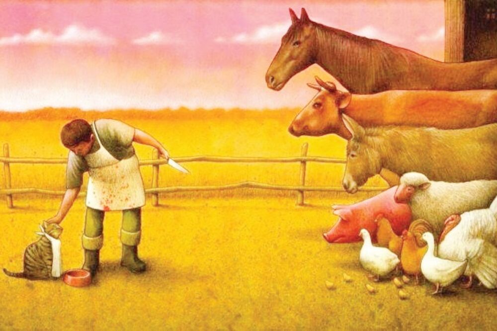 Pawel Kuczynski, Poljska (novina)