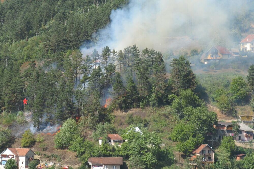 Ćukovac, požar, Foto: Jadranka Ćetković