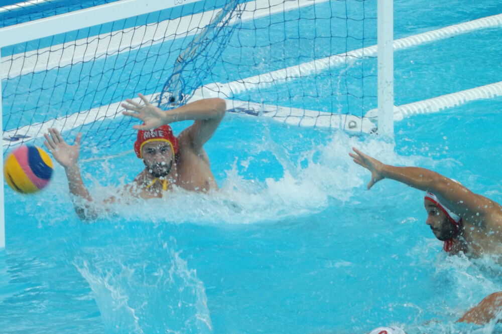 Dejan Lazović, Foto: Wpolo.me