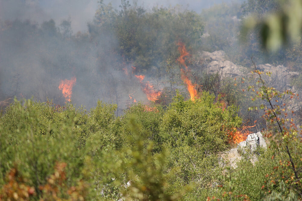 Komani požar, Foto: Filip Roganović