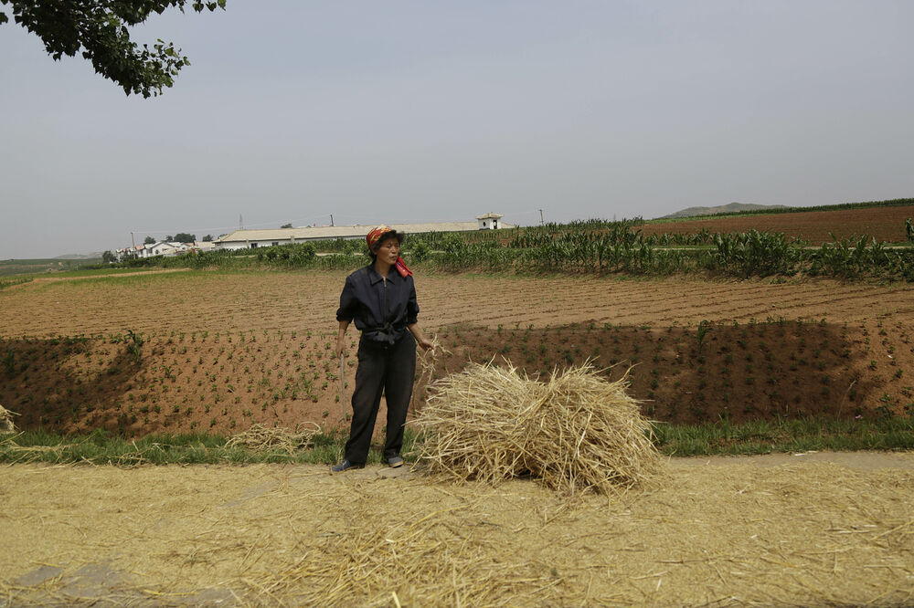 Sjeverna Koreja suša, Foto: Beta/AP