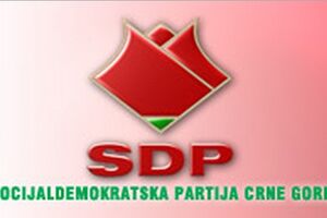 Nedović vd predsjednik SDP Kotor