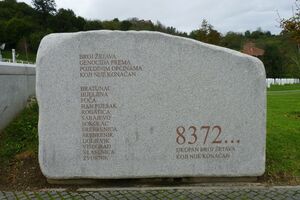 Hag: Sajt o Srebrenici je namijenjen nastavnicima, novinarima i...