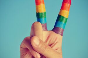 CGO: Političke partije da uključe i LGBTI prava u svoje programe
