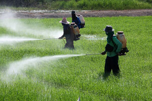 Pesticide oprezno upotrebljavati