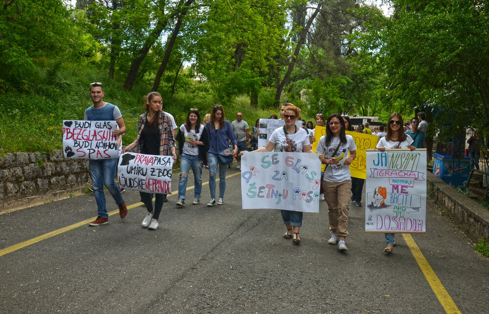 Gorica, protest, ljubitelji životinja