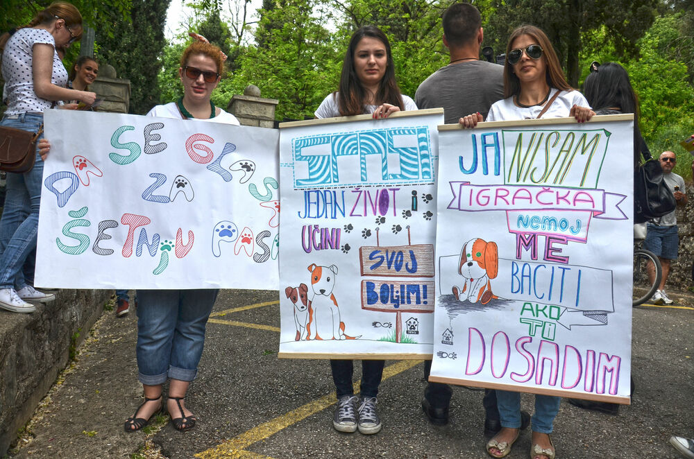 Gorica, protest, ljubitelji životinja