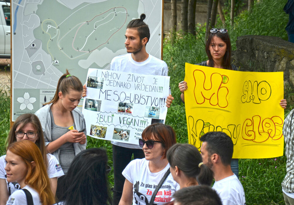 Gorica, protest, ljubitelji životinja