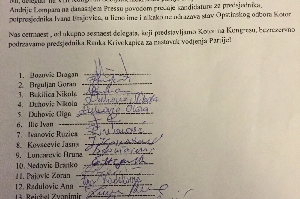 SDP Kotor, potpisi, Foto: SDP Kotor