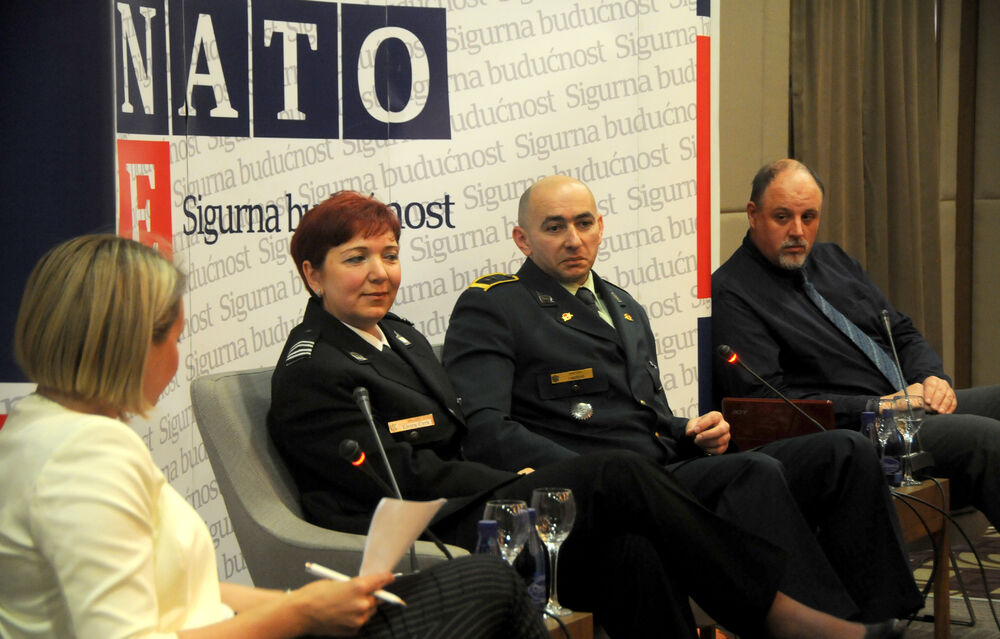 NATO panel