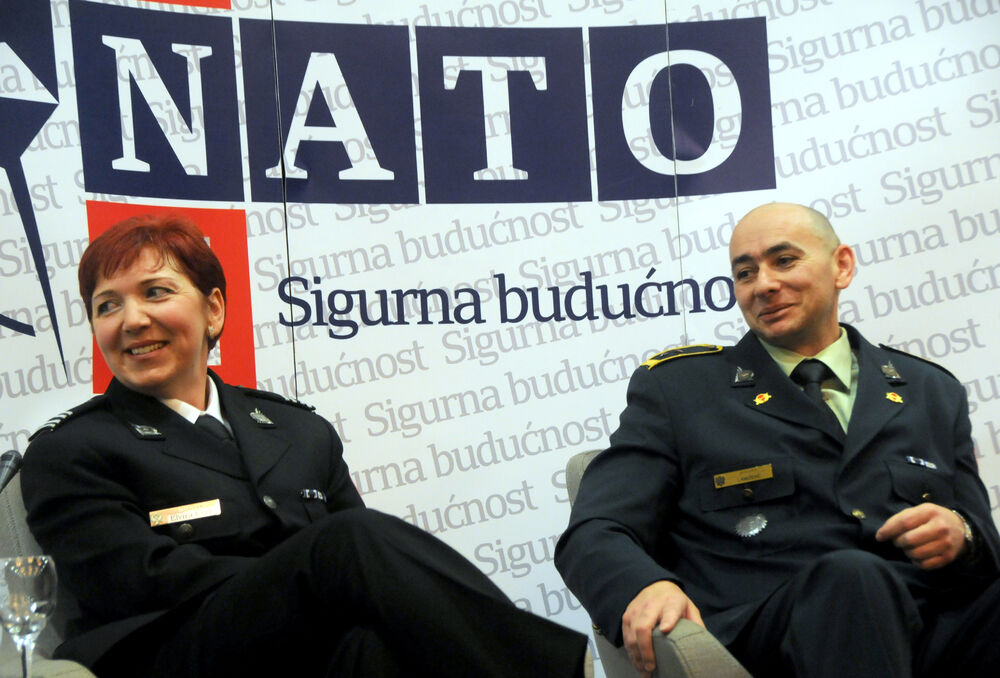 NATO panel