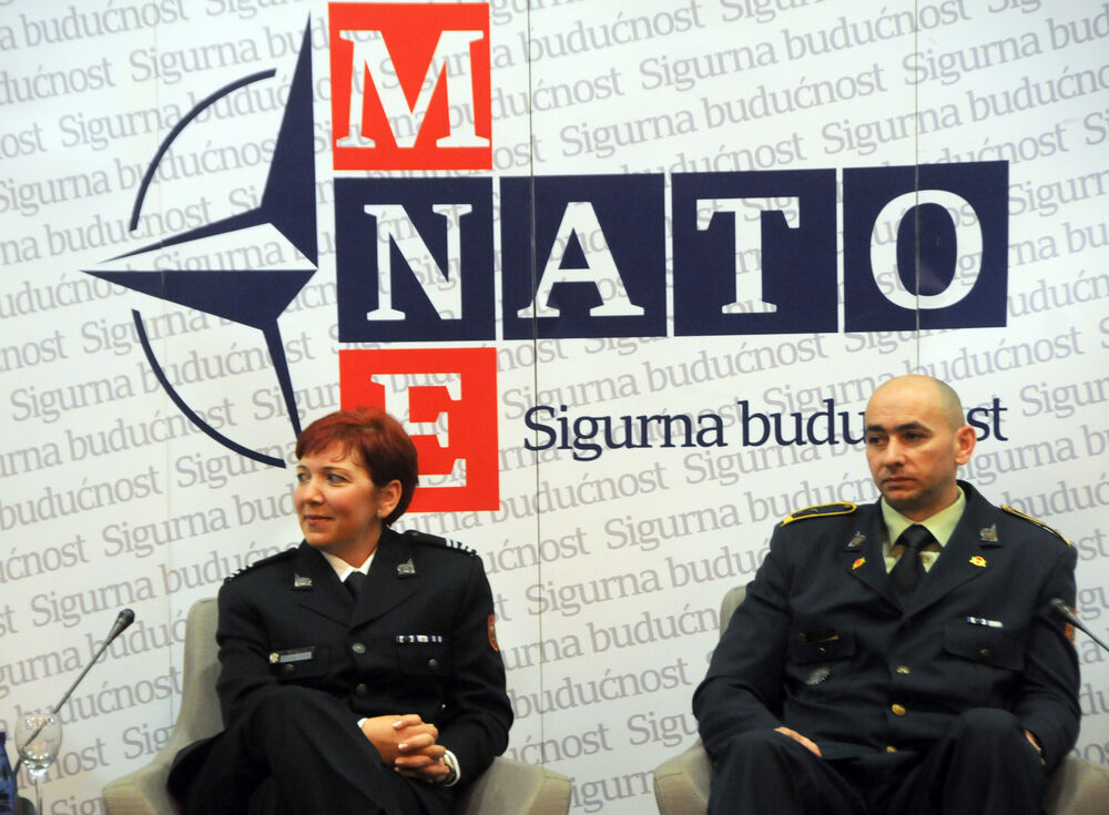 NATO panel