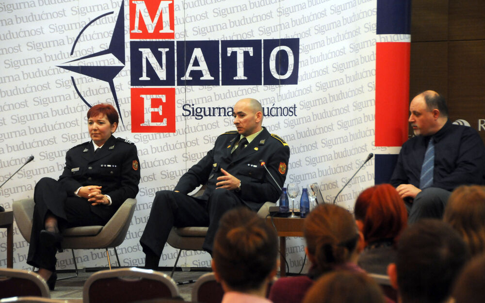 NATO panel