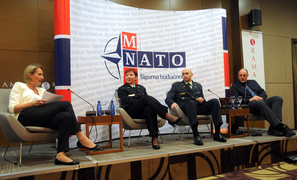 NATO panel