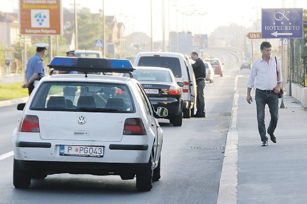 Masline, obračun, Foto: Luka Zeković