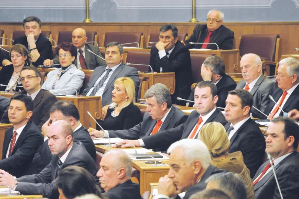 Parlament, skupština Crne gore, Foto: Luka Zeković