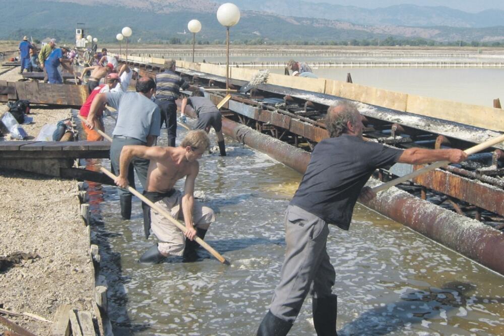 berba soli, Foto: Samir Adrović