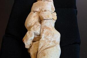 Pronađena statua žene stara 23.000 godina