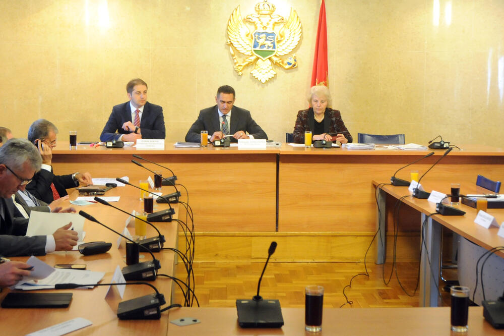 Odbor za ekonomiju, Foto: Boris Pejović