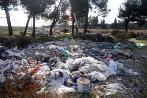 Podgorica: U gomili smeća i otpada i leš psa