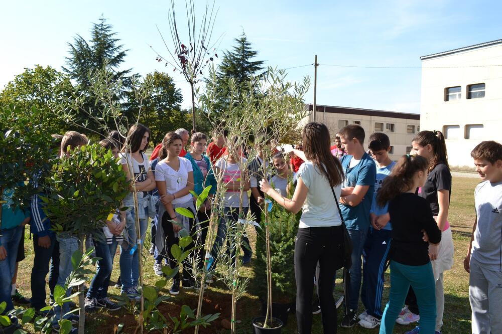 OŠ Radojica Perović, NVO Green Home, Foto: Green Home