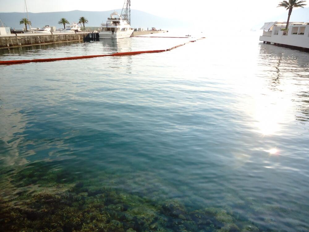 Porto Montenegro, izlivanje nafte