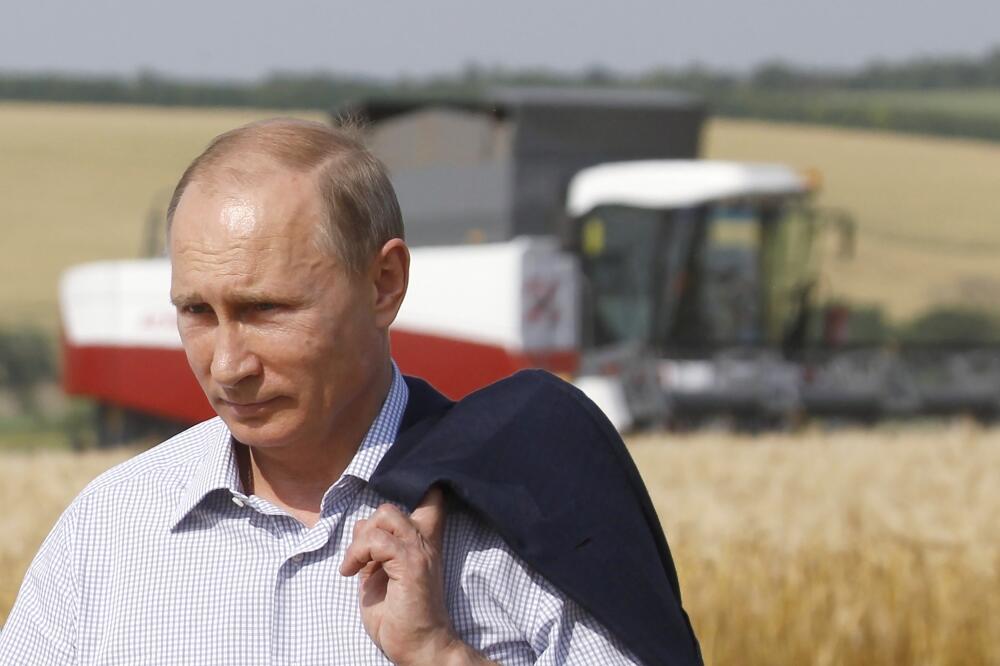 Vladimir Putin, Foto: Reuters