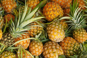 Španija: Zaplijenjeno 2,5 tone kokaina skrivenog među ananasom