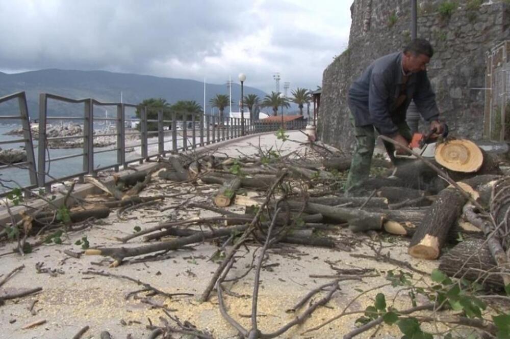 čišćenje Forte Mare, Foto: Slavica Kosić