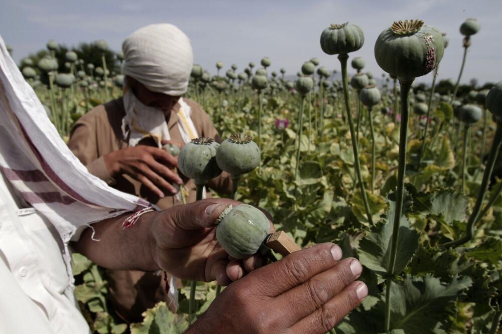 Avganistan, Foto: Beta/AP