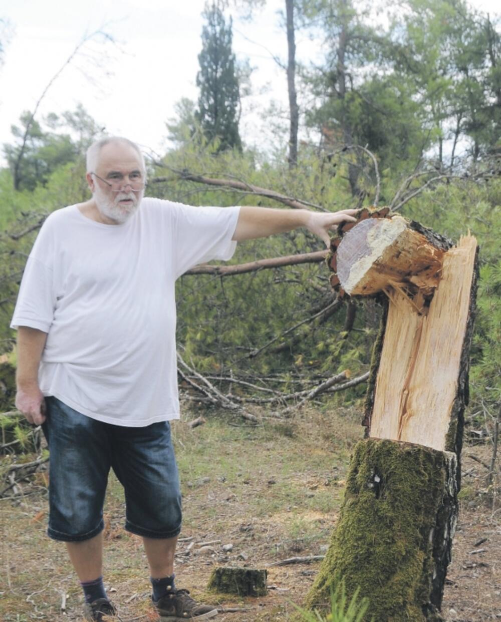 Zelenika, Duško Sekulić