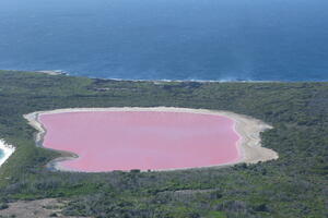 Kad priroda kreira: Pogledajte zapanjujuće "pink" jezero