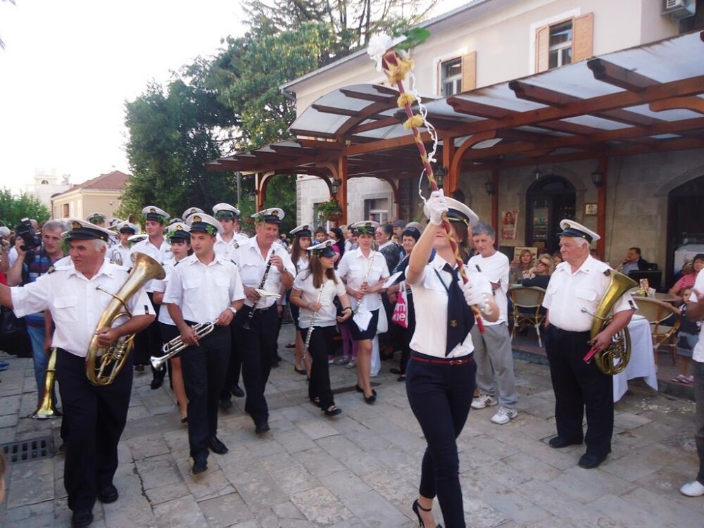 Žućenica fest, Tivat