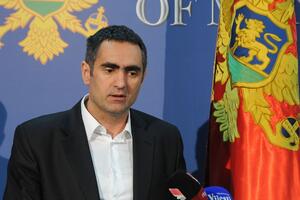 Damjanović: Crnoj Gori brzo predstoje krupne političke promjene